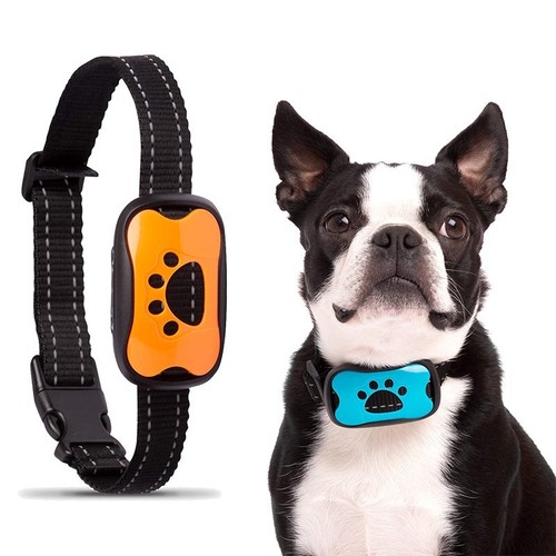 Anti bell halsband hunde - bell,